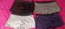南极人男士内裤男式纯棉平角裤头抗菌防螨透气四角男生短裤衩4条XL 实拍图