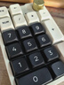 珂芝（KZZI）K20无线三模机械键盘19键带旋钮数字小键盘RGB灯光TOP结构PBT键帽全键热插拔星岩灰风雨轴V2 实拍图