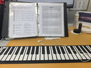 特伦斯手卷钢琴便携式88键专业版加厚编曲键盘成人口袋电子钢琴HQA88 61键黑色标准版 实拍图
