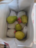 京觅福建芭乐 白心芭乐 土番石榴单果150g 4.5斤装 实拍图