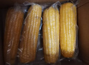 精品有机黄糯玉米 花糯玉米彩糯新鲜糯玉米真空装包 【有机认证】黄糯玉米8大棒 单棒均重＞260g 实拍图