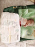 好奇（Huggies）M22片【尿裤免费送】心钻装小森林纸尿裤(6-11kg)【只返1次】 实拍图