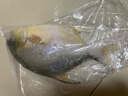 北海湾 金鲳鱼 新鲜海捕大鲳鱼海鲜平鱼冷冻扁鱼冰鲜大鲳鱼海鱼银鱼鱼类 【净重500-600克/条】 共4条 实拍图