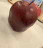 于小乖甘肃天水花牛粉面苹果婴儿刮泥老人孕妇粉糯红蛇苹果(需放粉) 带箱5斤大果（净重4.5斤） 实拍图