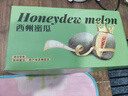京鲜生 海南哈密瓜 西州蜜/西周蜜 2粒 5-7斤 单果2.5斤起 生鲜水果礼盒 实拍图