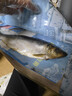 缤鲜 嗒莎熊俄式熏鱼整条鲱鱼 冷熏生熏鱼姐同款咸鱼整条即食顺丰包邮 含鱼籽冷熏鲱鱼220g左右*1条【净重】 实拍图