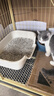 疯狂的主人猫砂盆半封闭式幼猫防外溅防漏猫沙盆猫厕所猫屎盆猫咪用品 实拍图