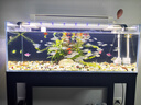 吉印刀锋s鱼缸灯led灯防水全光谱鱼缸照明灯水草灯小型超白鱼灯76cm 实拍图