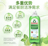 Frosch 柠檬浓缩洗洁精 750ml*3  德国原装进口 实拍图