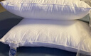 富安娜枕头芯纯棉面料成人枕酒店枕芯纤维软枕 中枕一个装74*48cm 实拍图