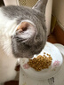皇家绝育成猫粮 SA37通用粮 1-7岁2KG 实拍图