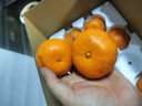 京鲜生 浙江涌泉蜜桔净重2.3-2.5斤 单果65-80mm 年货礼盒 源头直发包邮 实拍图