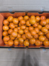 京鲜生 砂糖橘/沙糖桔 净重8斤精品果 生鲜水果年货礼盒 实拍图