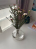 【澳洲腊梅】年宵花鲜切花家用水养插花云南直发鲜花束花期长真花 白色腊梅1扎（约200g） 实拍图