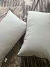 水星家纺枕头枕芯酒店枕头护颈枕头芯家用一对纯棉抗菌可水洗中枕48x74cm 实拍图