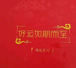 红豆居家（Hodohome）男童大红本命年新年纯棉秋衣秋裤柔棉内裤袜子保暖礼盒Z11 170 实拍图