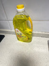 拂明液体酥油供佛灯油家用无烟台湾菩提酥油灯油长明灯专用环保油 2升/2.6斤【极力推荐】黄色 环保无烟酥油 实拍图