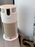 大宇DAEWOO大宇宠物空气净化器P3 吸猫毛浮毛神器除异味臭味除过敏原 奶绒米白 实拍图