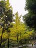 菲享暖桌垫加热桌垫鼠标发热垫办公室快速加热暖手桌垫加大桌面发热垫 星球熊80*33cm【六档数显款】 【石墨烯加热-3C认证-三年质保】 实拍图