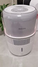 飞利浦（PHILIPS）加湿器家用卧室母婴专用静音除菌无雾空调加湿机鼻炎孕妇婴幼儿小型桌面大容量HU5710/10礼品 实拍图