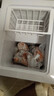 北极熊（BEIJIXIONG）冰柜家用冷柜小型一级能效全冷冻冷藏两用卧式储奶母乳速冻保鲜节能省电100升/200升/300升 单门单温108升【一级能效 全国联保】 108L 实拍图
