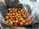 京鲜生吉制智利雷尼尔车厘子 2J级4.4斤礼盒装 果径约28-30mm 源头直发 实拍图