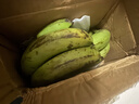 高山精品甜蕉现摘新鲜水果香蕉孕妇宝宝辅食搭配丫丫生鲜特产 2斤带箱装【青蕉发货】 实拍图