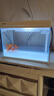 森森（SUNSUN）超白鱼缸一体缸自循环客厅桌面小型家用水族箱HEJ-380 实拍图