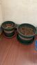 花盆绿植盆栽加厚塑料简约多肉小盆阳台客厅月季玫瑰大号家用花盆 高款1加仑(口径16cm)2个盆 不带托盘 实拍图