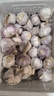 精品金乡紫皮大蒜新鲜干蒜大蒜头蔬菜调料调味大果4.5-5cm 精品大蒜2斤装 实拍图