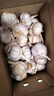 京鲜生河南杞县大蒜带皮新鲜干蒜净重3斤单果4.5-5cm 源头直发包邮 实拍图