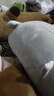 名创优品（MINISO）趴姿系列-大号趣味狗狗毛绒公仔玩具玩偶抱枕生日礼物女 灰色 实拍图