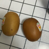 佳沛（zespri）新西兰阳光金奇异果 8个装 特大果单果重约122-146g 水果猕猴桃 实拍图
