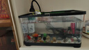 阔庭鱼缸懒人鱼缸家用客厅办公室金鱼缸过滤鱼缸黑色款 实拍图