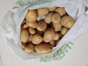 山东土豆新鲜现挖2025新土豆农家马铃薯黄皮黄心大包装健康即食 黄心土豆小果 9斤(净重) 实拍图