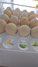 1号会员店富硒鲜鸡蛋30枚 源头直发 净重3斤 实拍图