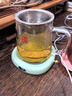 OIDIRE（偶点）加热杯垫恒温杯垫保温杯垫加热杯恒温杯牛奶加热器保温底座茶杯垫养生杯暖暖杯可调温智能 0.35L -绿色升级款【带水杯】 实拍图