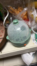 九阳（Joyoung）煮蛋器多功能智能蒸蛋器 14个蛋量 ZD14-GE140（飞泉绿） 实拍图