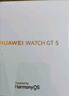HUAWEI WATCH GT 5 41mm 湖光青 氟橡胶表带华为智能手表玄玑感知系统 实拍图