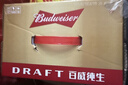 百威（Budweiser）经典纯生淡色拉格啤酒 500ml*18听整箱装 新年送礼 实拍图