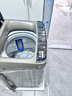 志高（CHIGO）全自动洗衣机 家用小型波轮 洗脱一体机大容量 公寓宿舍出租房 加厚款 12kg 【蓝光洗护+风干洁桶+强电机】 实拍图