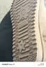 巴拉巴拉童鞋儿童雪地靴男童女童短靴加厚加绒棉靴防滑冬季靴子 实拍图