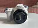 佳能200d二代 单反相机入门级  vlog踏青便携家用迷你单反数码照相机 下单抽拉布布&金豆 200D II 18-55白色+佳能小痰盂人像头 套餐四【拍套四0元升级套餐五 免费升级不加价】 实拍图