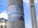 护童（Totguard）（TotGuard）坐姿矫正器读写台儿童防近视写字矫正器写作业神器端正坐姿 护臂款珊瑚粉 实拍图
