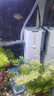 森森 小鲤鱼缸过滤器净水循环三合一内置水族箱过滤系统XQP-500F 6W 实拍图