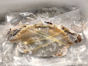 舟山梭子蟹鲜活特大野生大螃蟹新鲜冷冻海鲜水产海蟹飞蟹白蟹顺丰 7-9两/只【5斤净重 特大肥壮】 实拍图