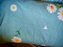 洁丽雅（Grace）纯棉枕套一对 加厚家用印花枕头套枕芯套 花漾-蓝48*74cm 实拍图