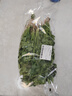 带根香菜100g 实拍图