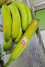 佳农 进口大把香蕉净重2.4斤 家庭装 生鲜水果 源头直发 包邮 实拍图