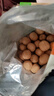 新边界（new boundaries）【新疆核桃】薄皮核桃1000g 2025年新货坚果炒货手剥量贩原味特产 实拍图